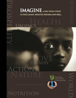 Codex eBook