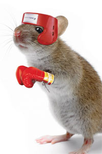 10-18-mouse-1