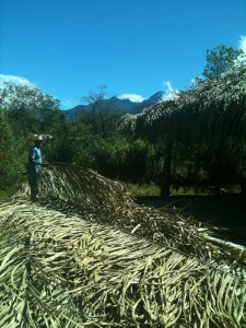 View of Baru from the Restaurant Patio