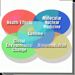 Epistasis diagram