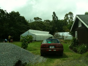 The New Greenhouses