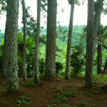 IMG_0672 IMG_0672