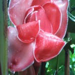 IMG_1590 IMG_1590
