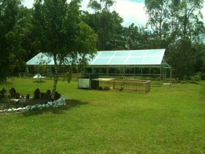 The metal greenhousen nearly complete