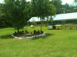 Another view of the metal greenhouse