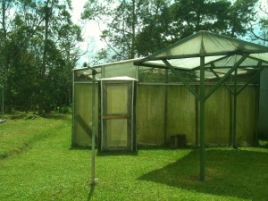 Double entrance to the bamboo greenhouse