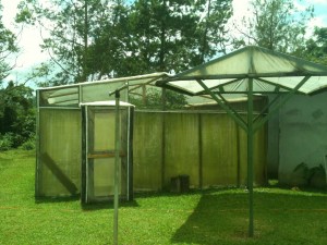 The bamboo greenhouse and shade
