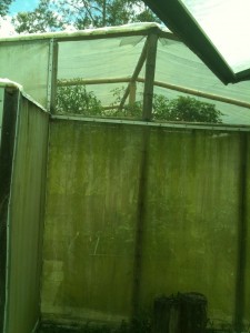 View of the bamboo greenhouse structure