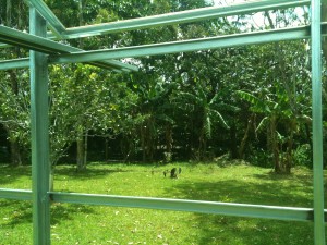 Metal greenhouse structure, close up