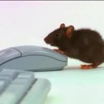 Mouse on mouse