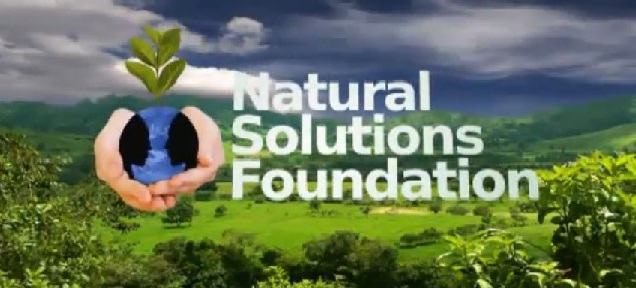 NSF-banner
