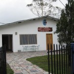 NaturalSolutionsCenter