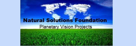 PlanetaryVision.banner