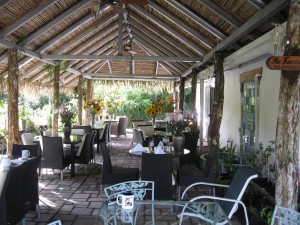 BeyondOrganic Restaurant, Volcan, Panama