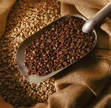 coffeebean scoop coffeebean scoop