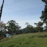 coffeefinca3