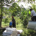 coffeefinca5