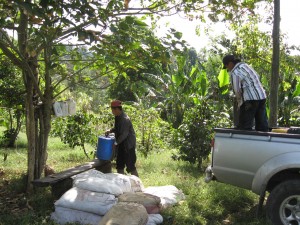 coffeefinca5