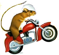 mousemcycl mousemcycl