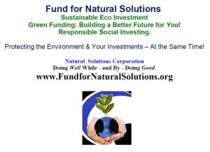 Fund for Natural Solutions