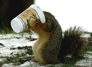 squirrel-with-coffee-cup squirrel-with-coffee-cup
